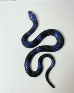 Black and blue Sssnake