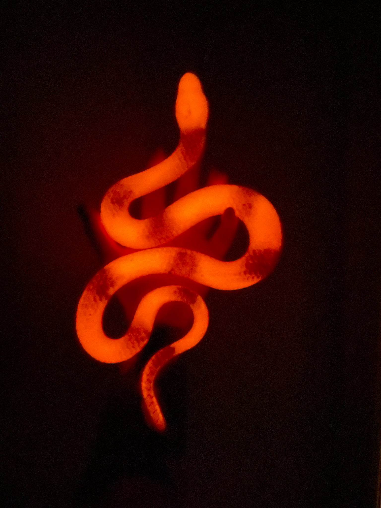 Fire glowing Sssnake (glow in the dark)